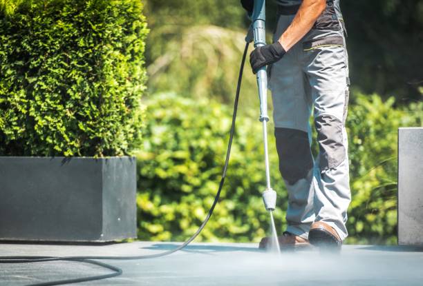 Best House Exterior Washing  in Fern Prairie, WA